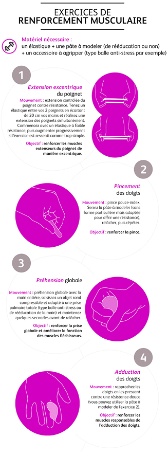 Exercices de renforcement musculaire