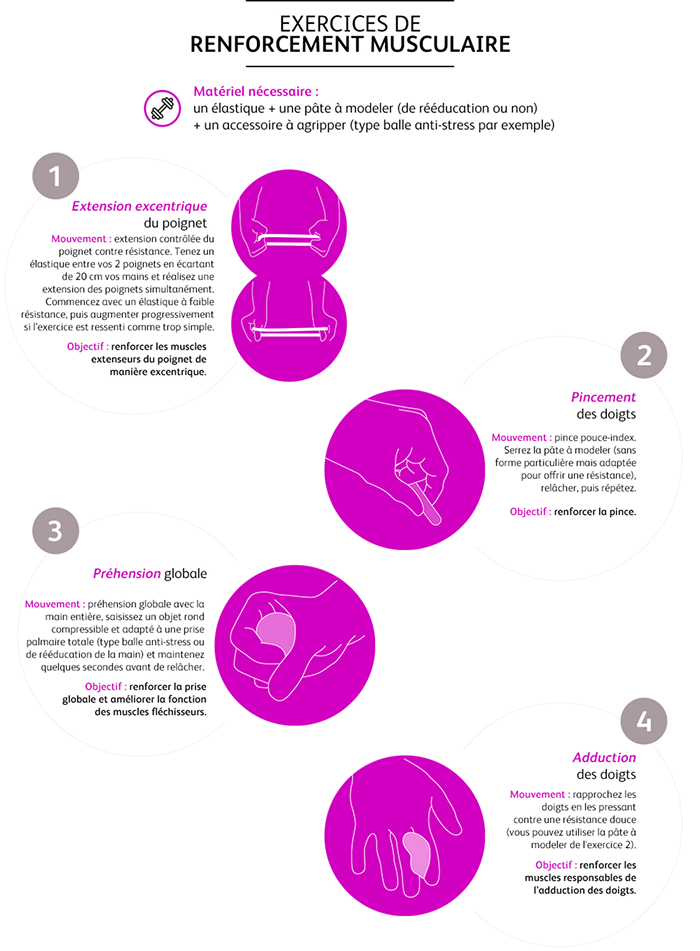 Exercices de renforcement musculaire