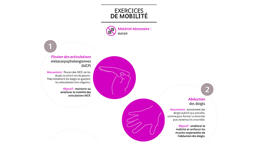 Programme de mobilité et de renforcement